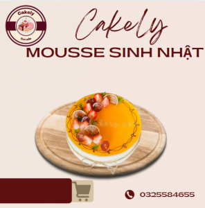 Bánh mousse sinh nhật nhiều vị