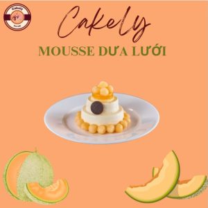 Hình 2 : Bánh mousse dưa lưới