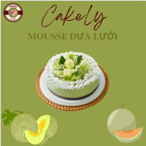Hình 1 : Bánh mousse dưa lưới