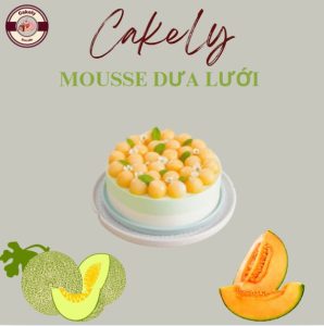 Hình 3 : Bánh mousse dưa lưới