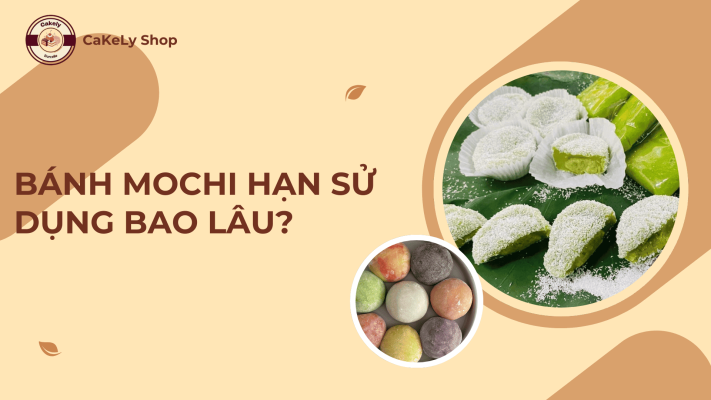 BÁNH MOCHI HẠN SỬ DỤNG BAO LÂU?
